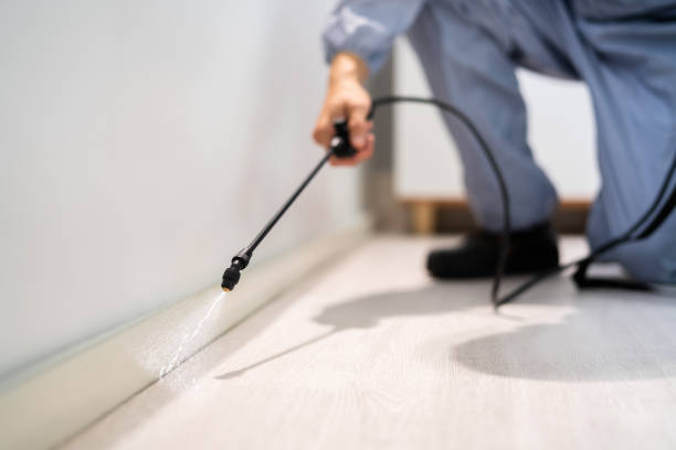 Licensed Pest Control service in Christiansburg, VA - Show Me Pest Control