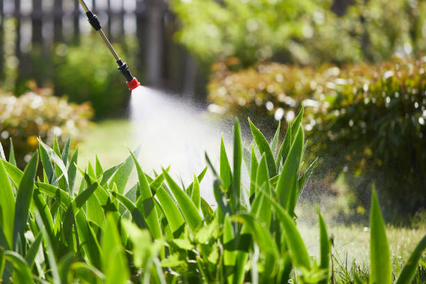 24/7 Emergency Wasp Removal experts in Christiansburg, VA