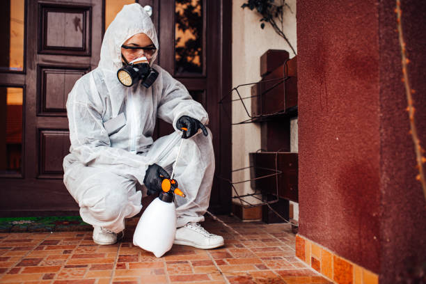 Reliable Wasp Removal contractor in Christiansburg, VA by Show Me Pest Control