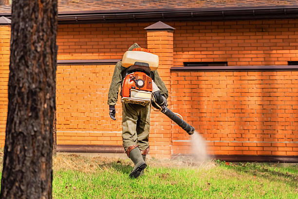Top rated local Wasp Removal specialists in Christiansburg, VA